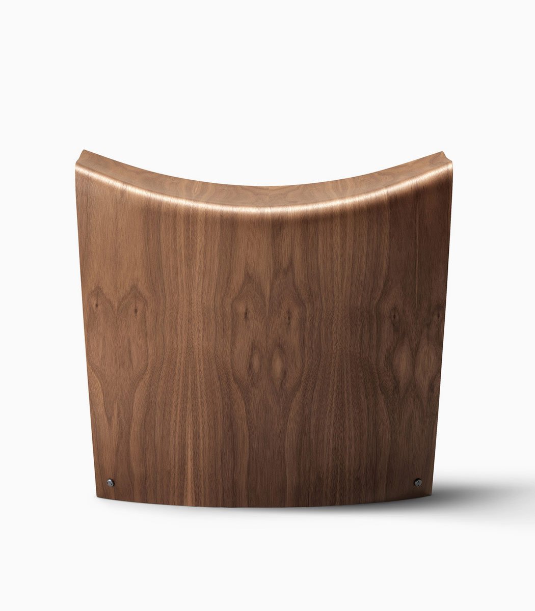 Scelerisque pulvinar ligula