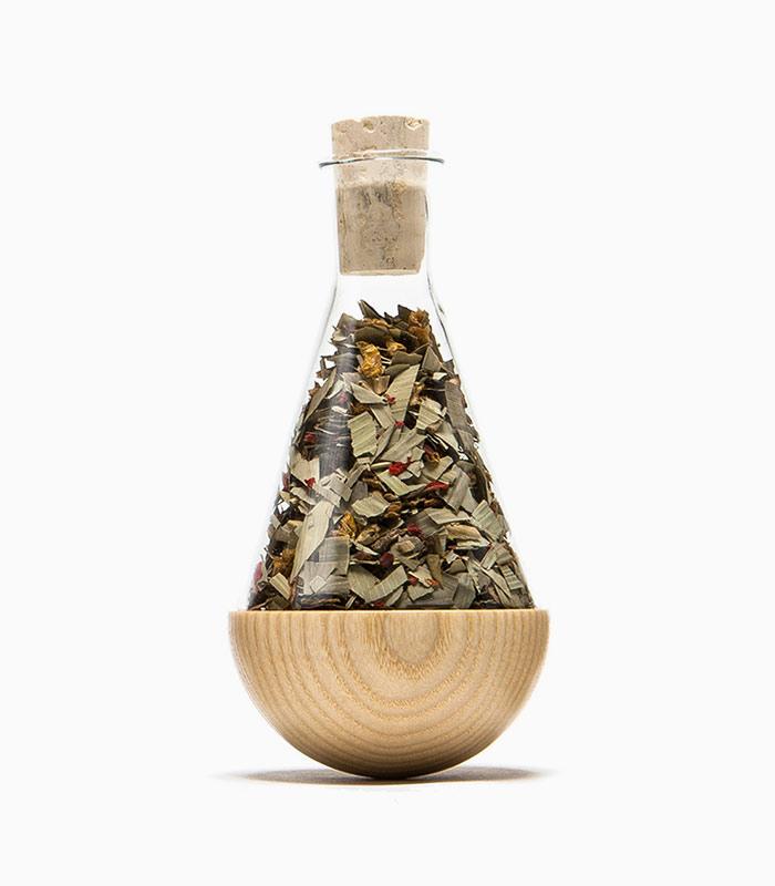 Interdum elit vestibulum